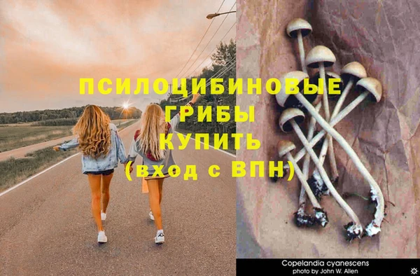 скорость Алзамай