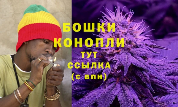 дживик Горно-Алтайск